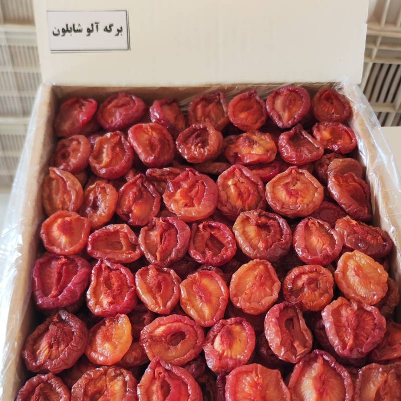 برگه شابلون لوکس