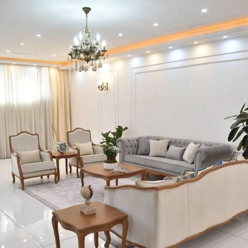 کلاسیک مدل فرانسوی فروش چک نقدی