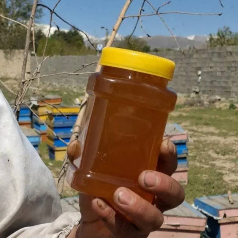 عسل خالص آویشن شیراز (تولید اصیل منطقه)